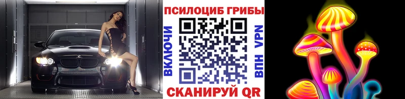 Псилоцибиновые грибы прущие грибы  Макаров 